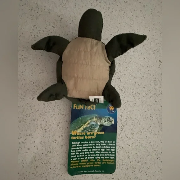 Pago Green Turtle - Picture 3 of 4